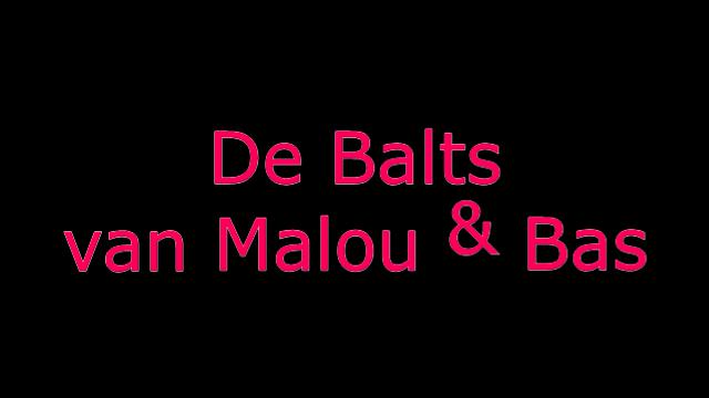 Bruiloftsfeest Malou en Bas